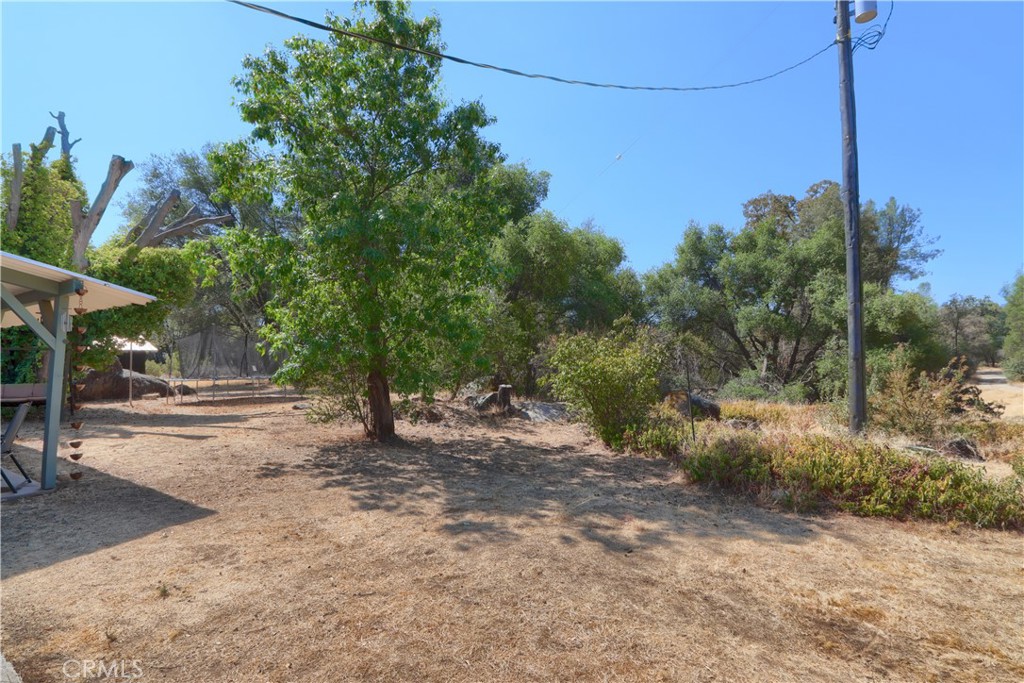 5268 Schafer Road Mariposa, CA 95338 - Photo 36 of 45 a view of a road with a tree