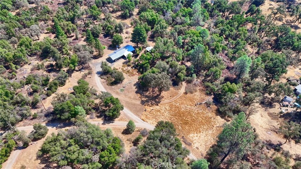 5268 Schafer Road Mariposa, CA 95338 - Photo 43 of 45 a view of flowers in middle of a yard