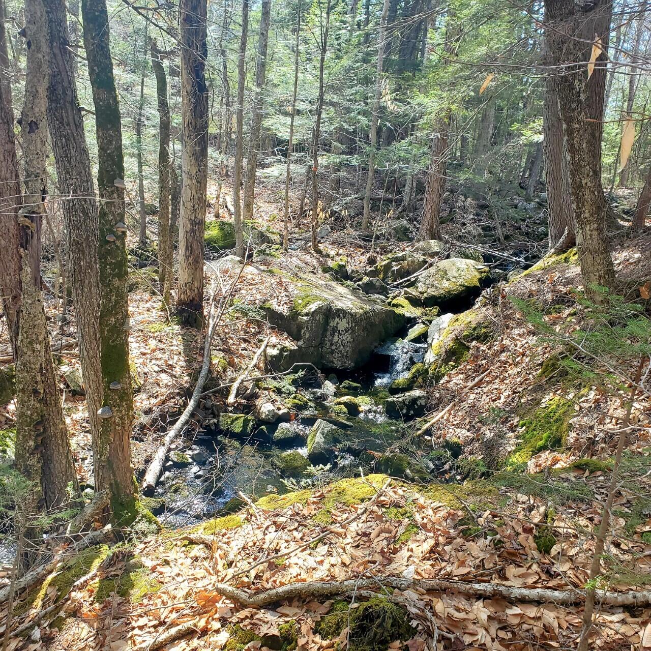 44 Beaver Pond Road Swanville, ME 04915 - Photo 13 of 59 Back Yard Brook