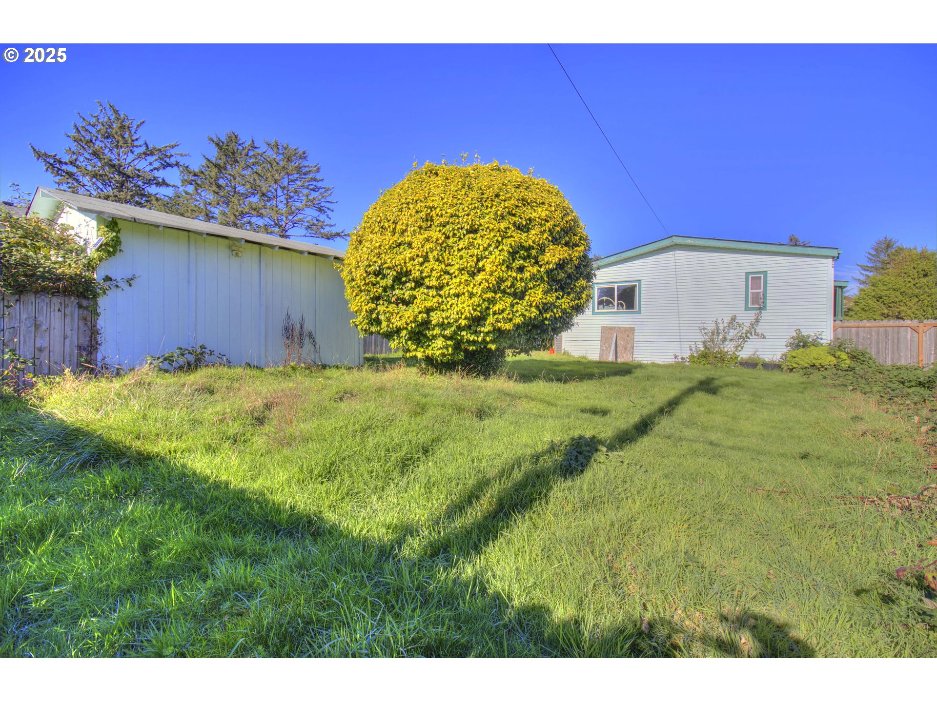 1109 Rowland Lane Brookings, OR 97415 - Photo 21 of 21 a view of a big room with potted plants