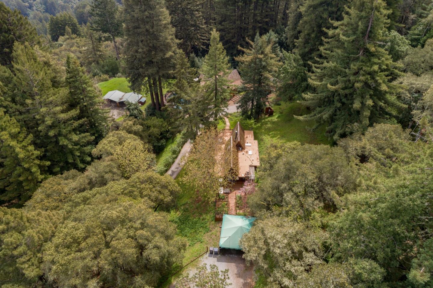 87 Upenuf Road Woodside, CA 94062 - Photo 42 of 42 a view of a forest with a tree