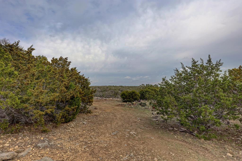 158 Ledge Stone Ln West  