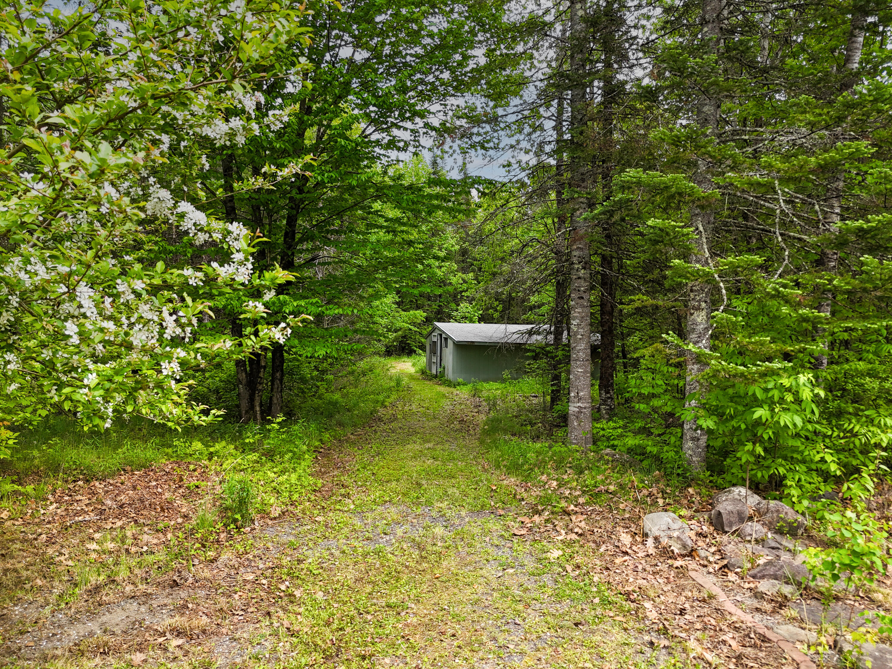 385 Johnson Flat Road Pittsfield, ME 04927 - Photo 50 of 53 dji_fly_20260602_151032_0871_17804355621