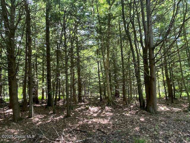 204 Bauer Road Sand Lake, NY 12018 - Photo 1 of 14 IMG_2940