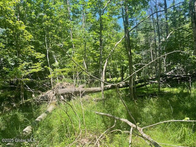 204 Bauer Road Sand Lake, NY 12018 - Photo 11 of 14 IMG_2950