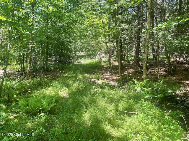 204 Bauer Road Sand Lake, NY 12018 - Photo 12 of 14 IMG_2948