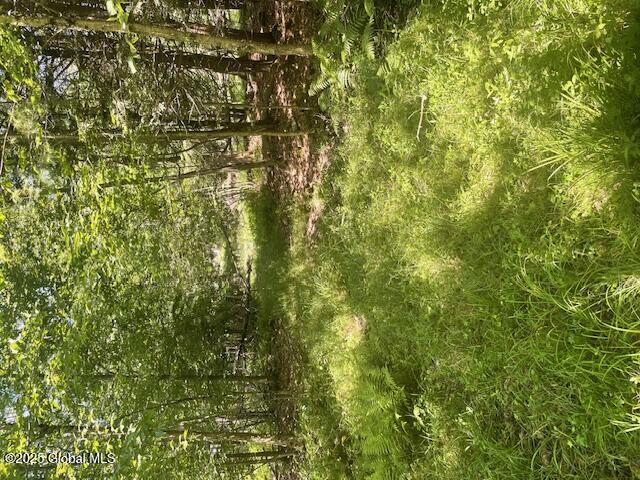 204 Bauer Road Sand Lake, NY 12018 - Photo 13 of 14 IMG_2947