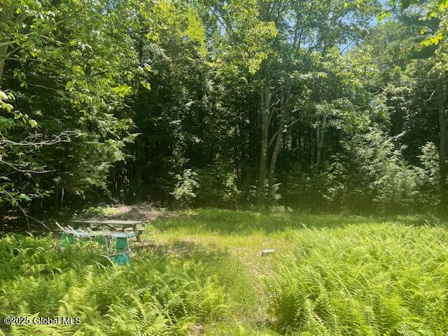 204 Bauer Road Sand Lake, NY 12018 - Photo 14 of 14 IMG_2945