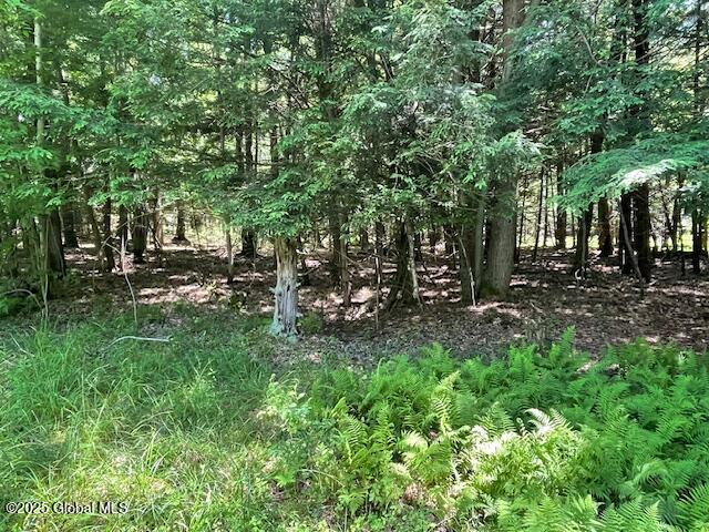 204 Bauer Road Sand Lake, NY 12018 - Photo 2 of 14 IMG_2939