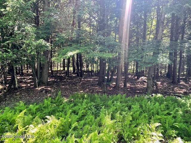 204 Bauer Road Sand Lake, NY 12018 - Photo 3 of 14 IMG_2938