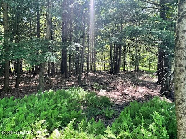 204 Bauer Road Sand Lake, NY 12018 - Photo 5 of 14 IMG_2937