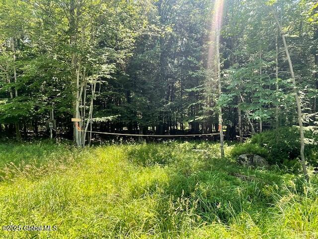204 Bauer Road Sand Lake, NY 12018 - Photo 6 of 14 IMG_2936