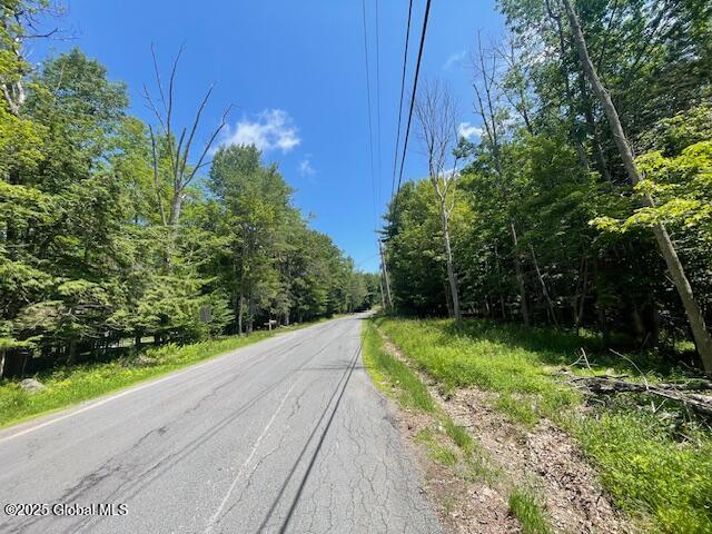 204 Bauer Road Sand Lake, NY 12018 - Photo 7 of 14 IMG_2935
