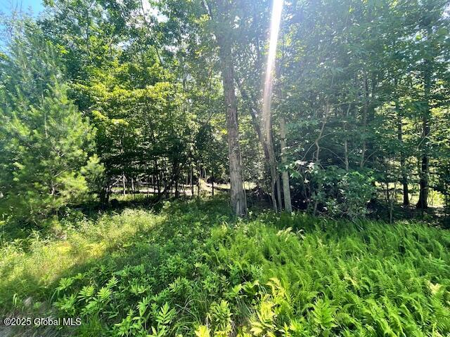 204 Bauer Road Sand Lake, NY 12018 - Photo 8 of 14 IMG_2934