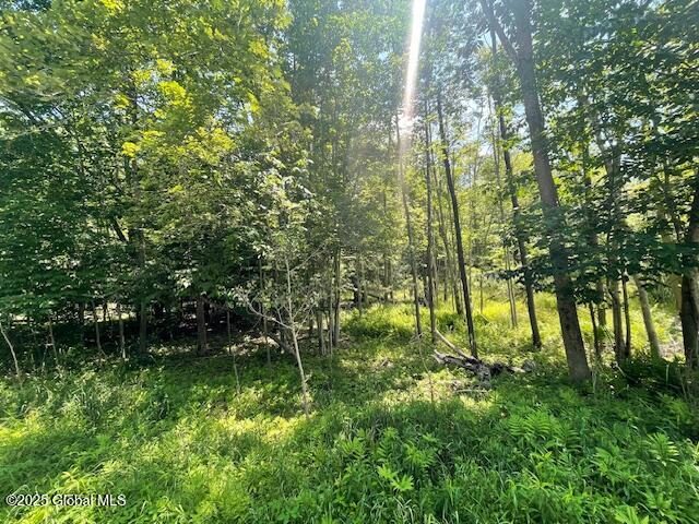 204 Bauer Road Sand Lake, NY 12018 - Photo 9 of 14 IMG_2933