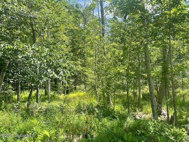 204 Bauer Road Sand Lake, NY 12018 - Photo 10 of 14 IMG_2932