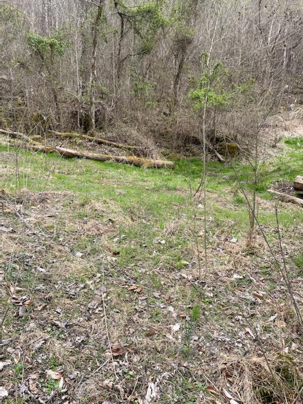 Tbd Clinch Mountain Road Eidson, TN 37731 - Photo 14 of 22 -5682519925892365100