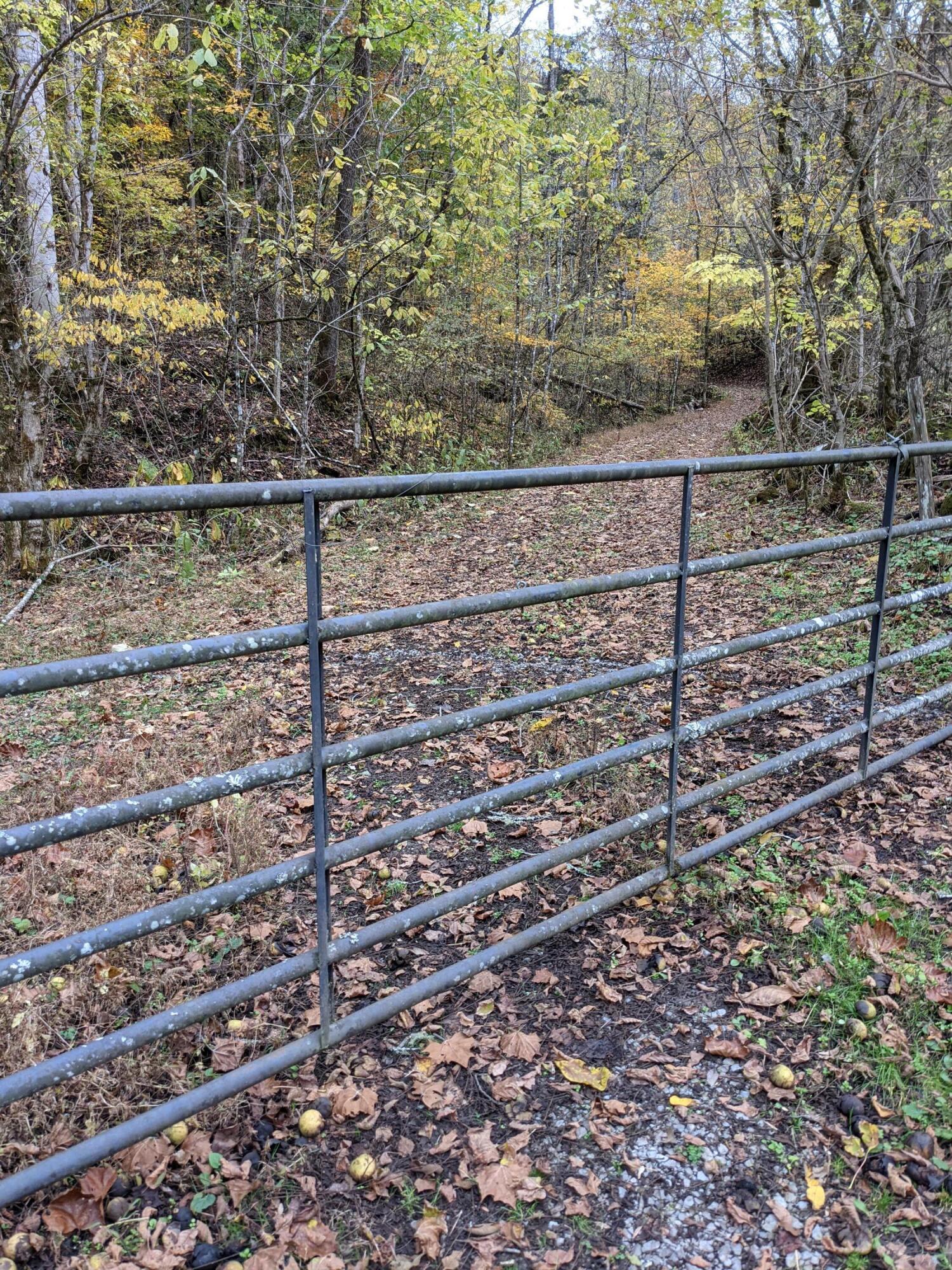 Tbd Clinch Mountain Road Eidson, TN 37731 - Photo 2 of 22 Gate and path