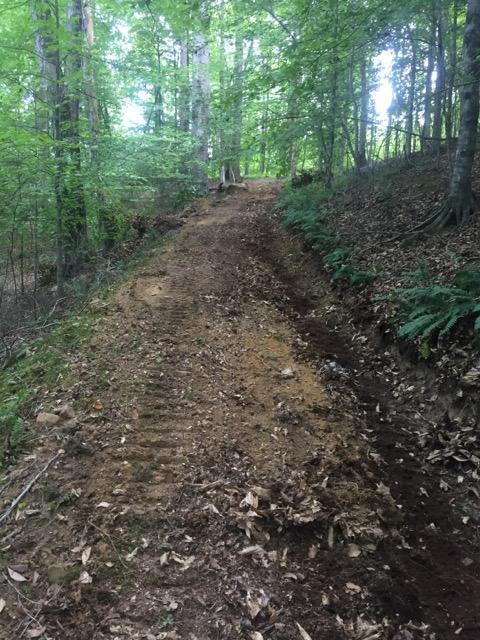 Tbd Clinch Mountain Road Eidson, TN 37731 - Photo 8 of 22 Clinch 6