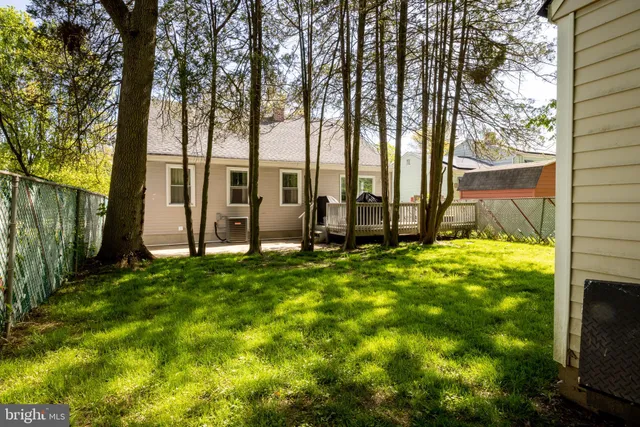 a view of backyard with large trees
