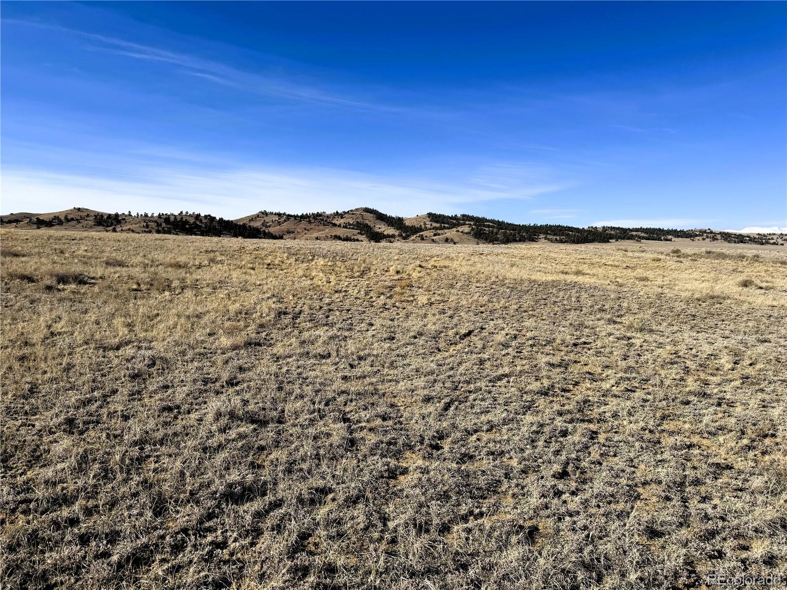 14501 Chickasaw Road Hartsel, CO 80449 - Photo 11 of 23 a view of an ocean