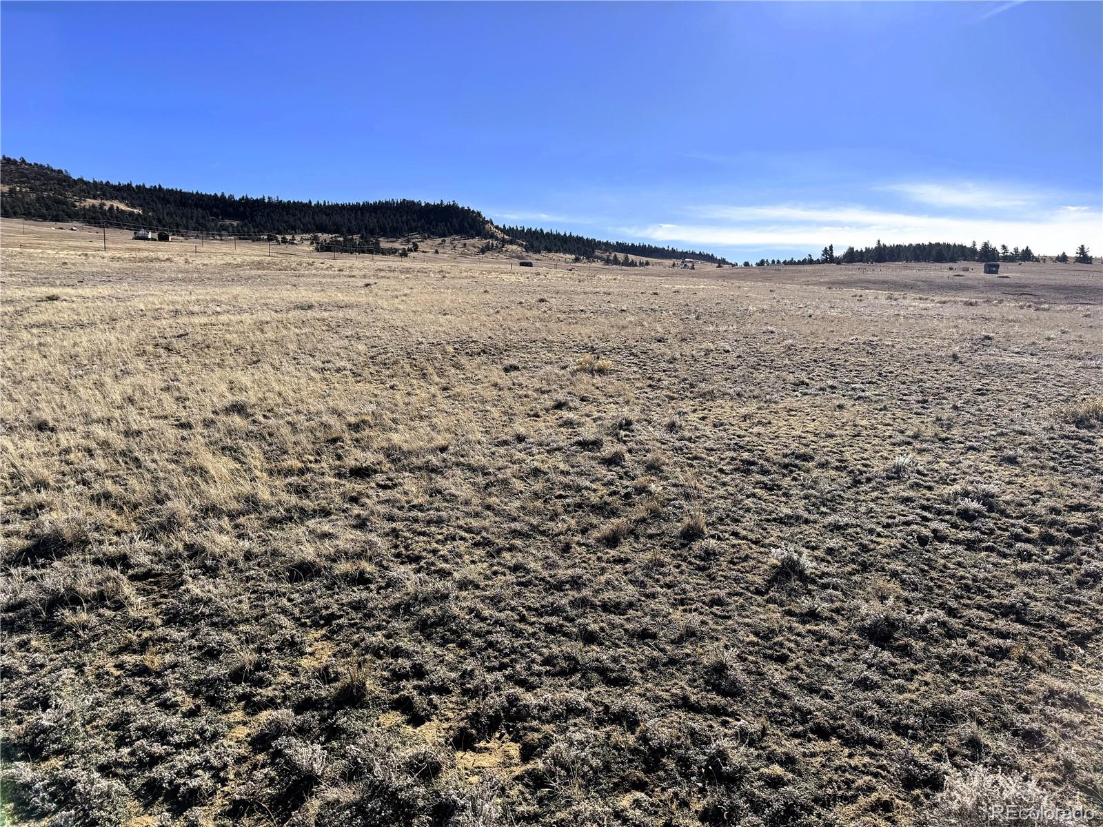 14501 Chickasaw Road Hartsel, CO 80449 - Photo 9 of 23