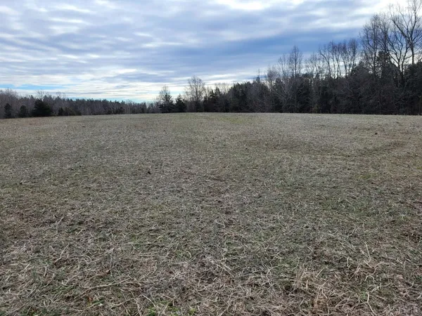 a view of a field with trees in background