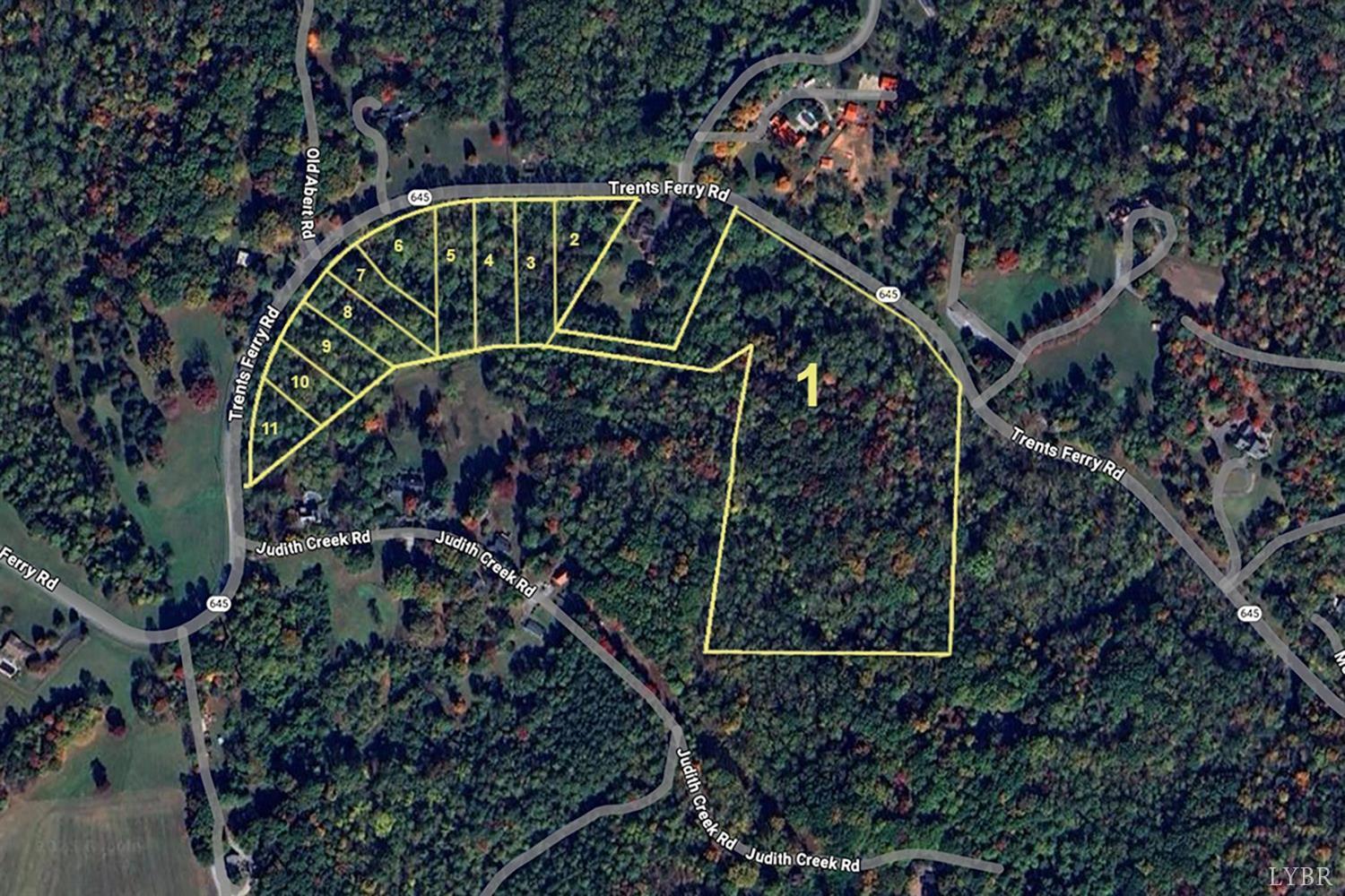 -lot 11 Trents Ferry Road Lynchburg, VA 24503 - Photo 5 of 8