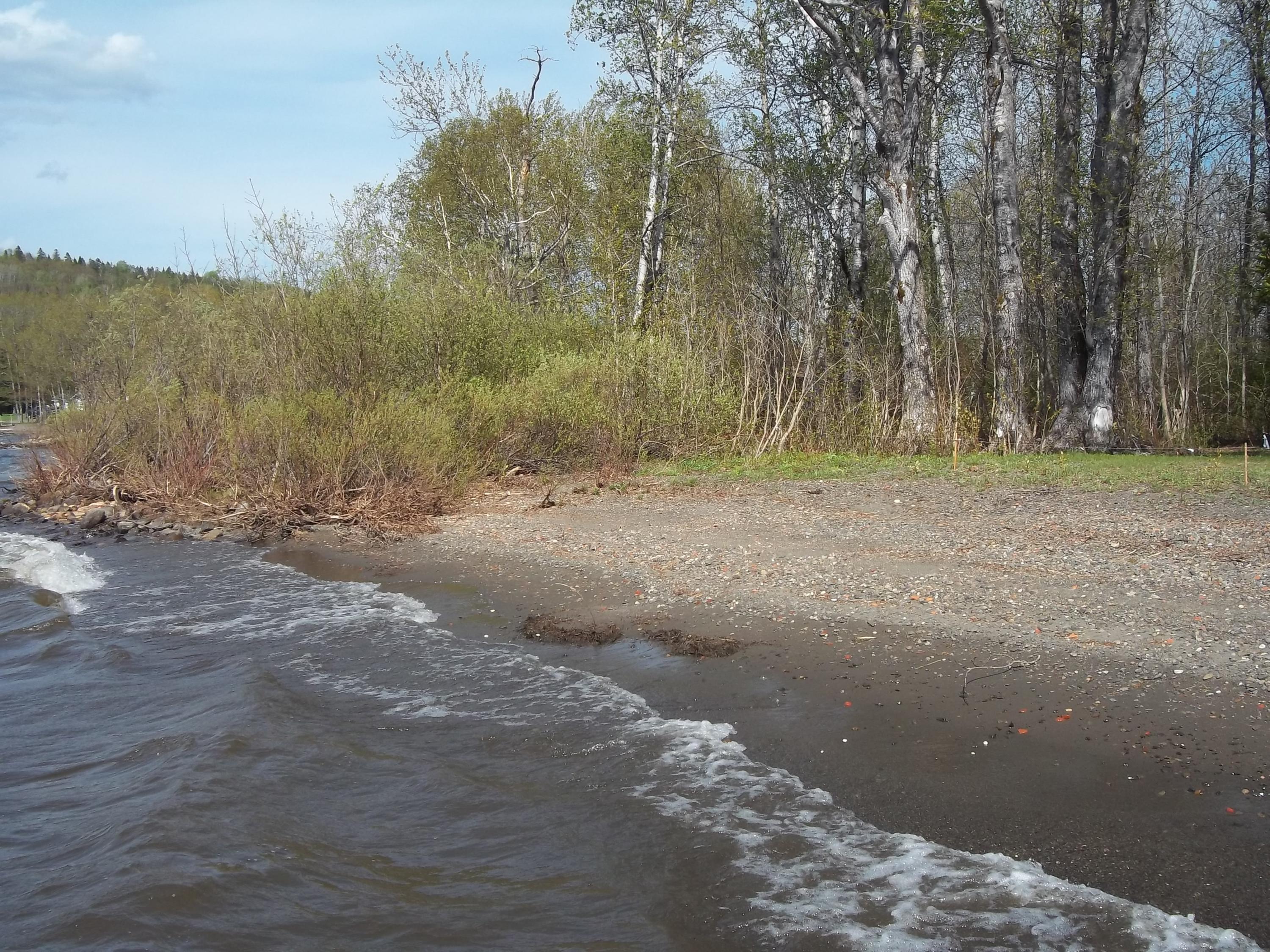 60 W Road Portage Lake, ME 04768 - Photo 40 of 41 100_0906