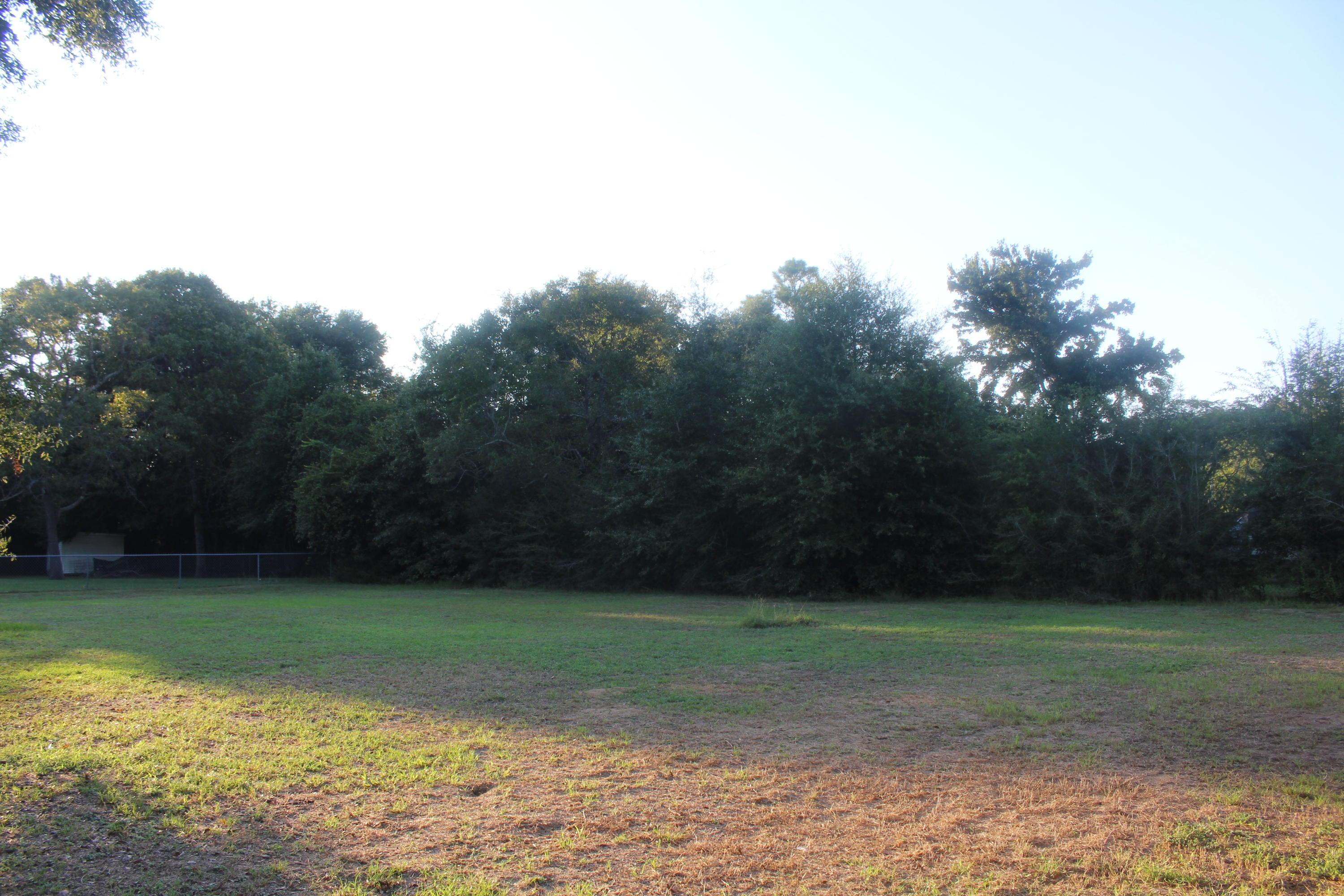 6160 Old Hickory Road Crestview, FL 32539 - Photo 12 of 12 a view of a yard with a trees