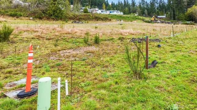 a view of yard with green space