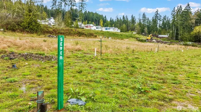 a view of a yard with an trees