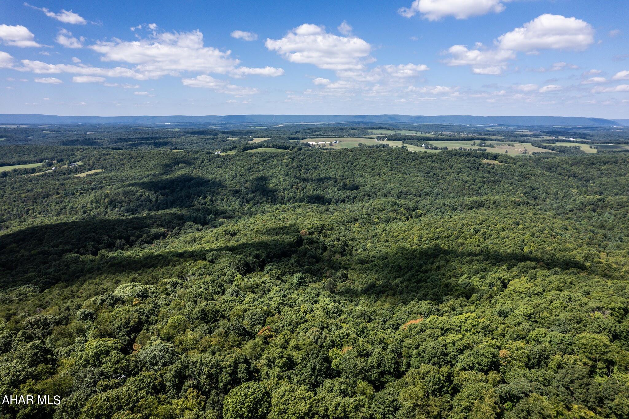 Off Addison Ridge Road Clearville, PA 15535 - Photo 10 of 18