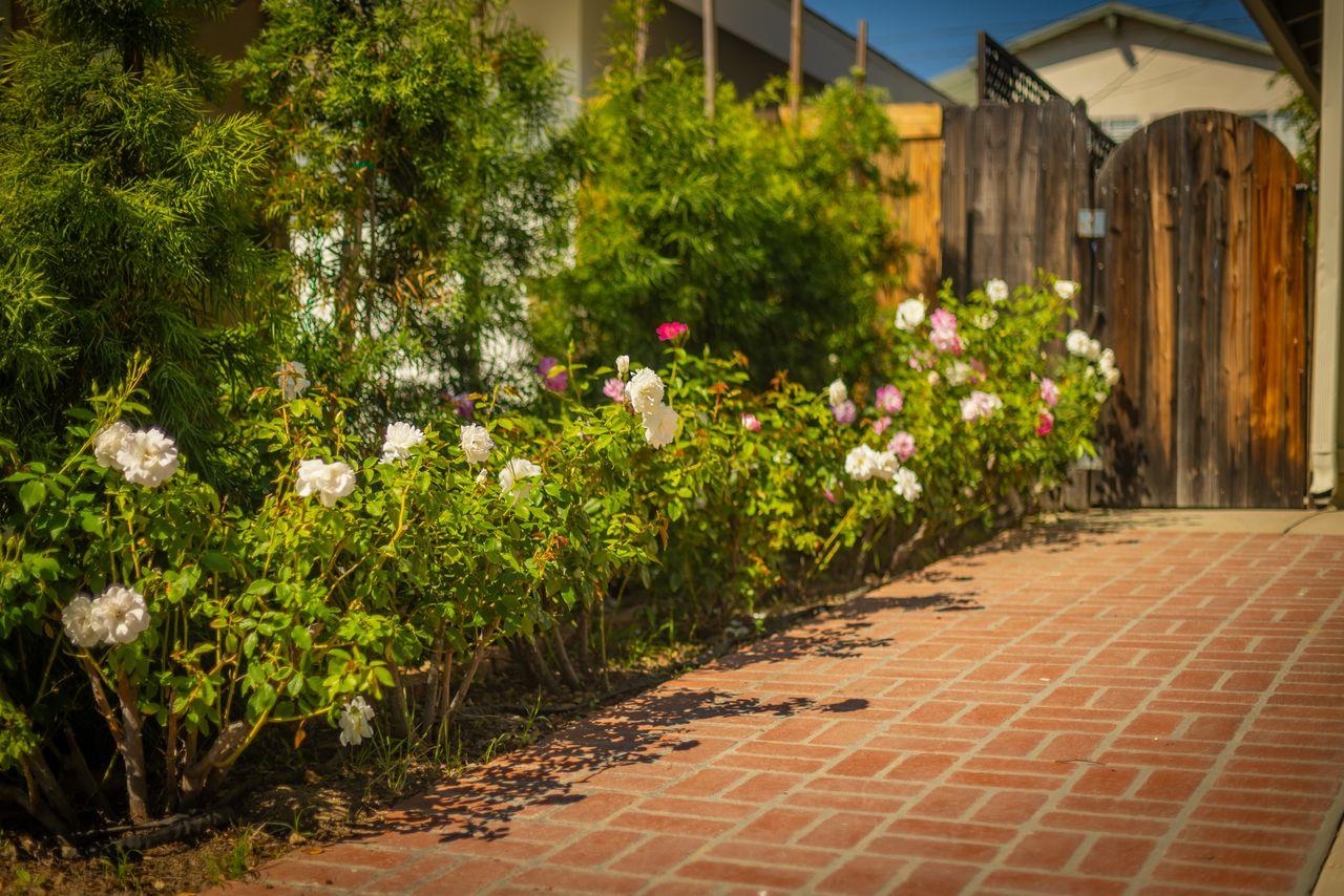 401 South Carrillo Road Ojai, CA 93023 - Photo 3 of 36