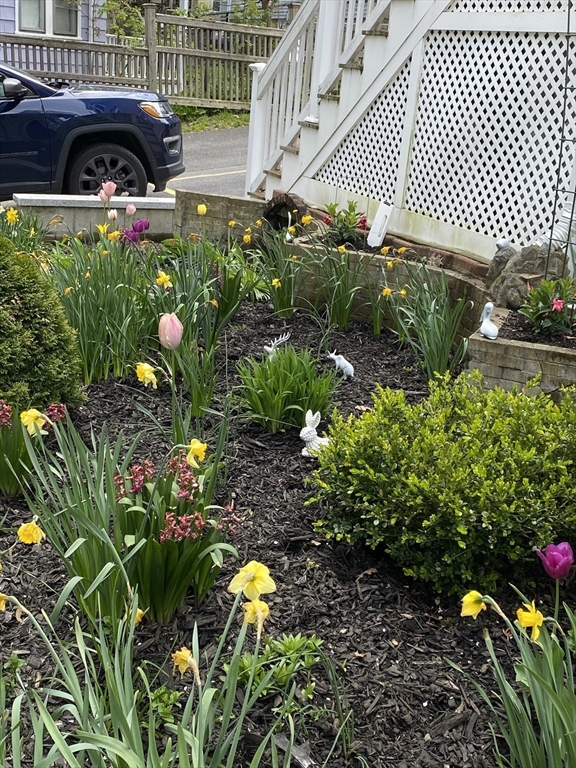 12 Eliot Crescent, Unit 2 Brookline, MA 02467 - Photo 3 of 18