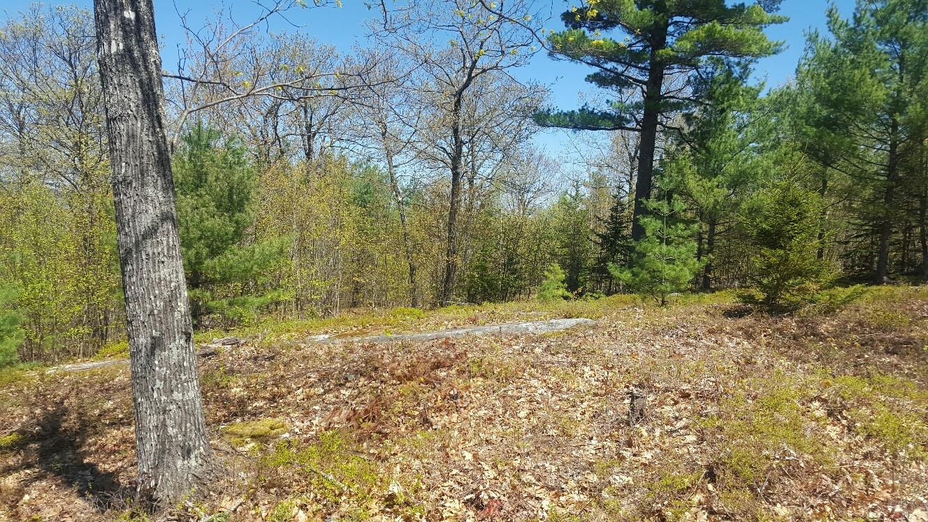 87 Stevens Road Stoneham, ME 04231 - Photo 17 of 19 januumsuppertopath