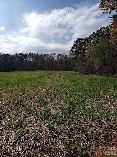 0 Deal Road Mooresville, NC 28115 - Photo 8 of 45 a view of a field with an trees