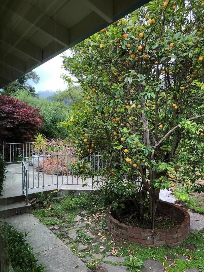 Dell Road Pacifica, CA 94044 - Photo 36 of 42