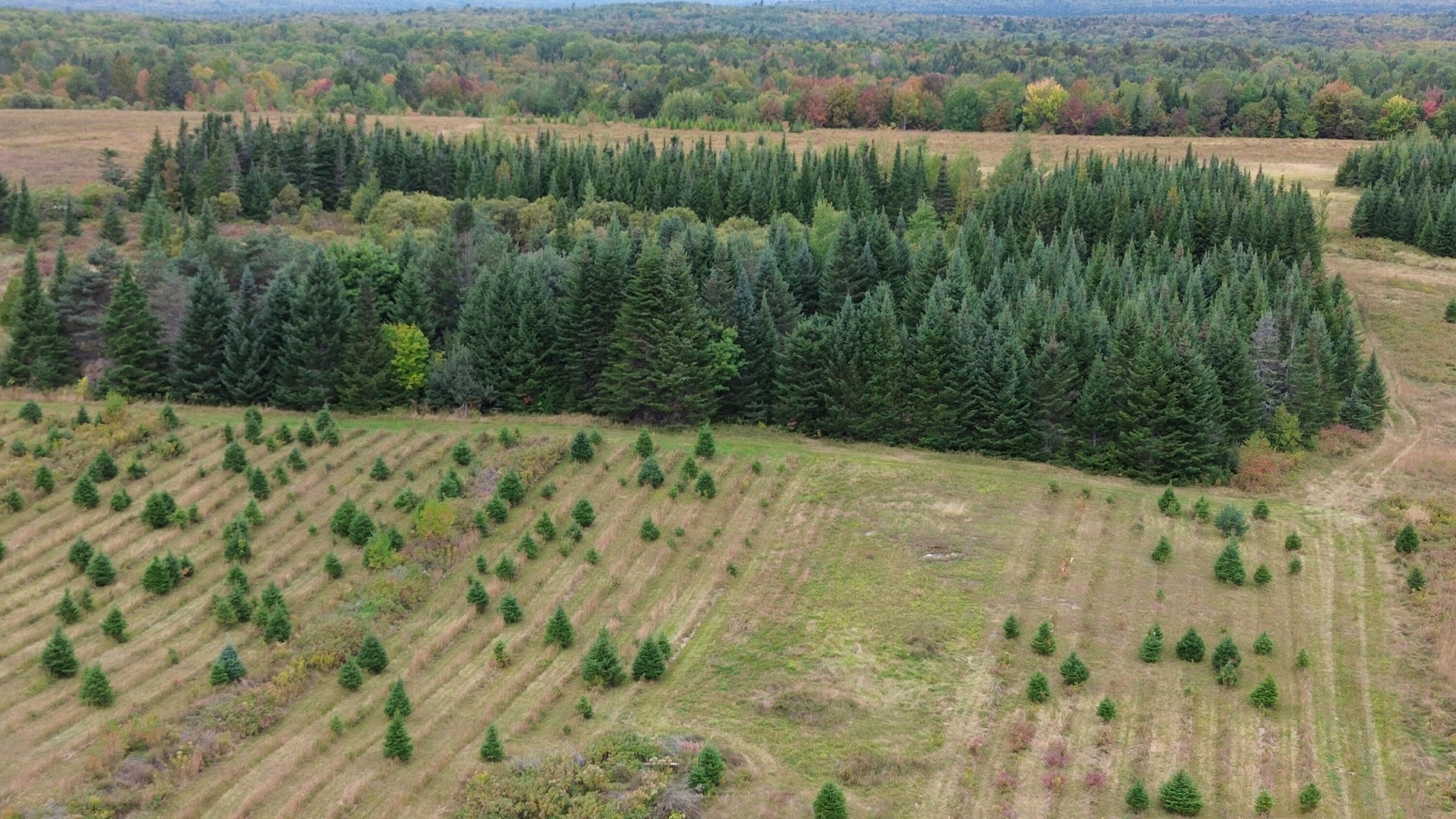 0 West Ridge Road Littleton, ME 04730 - Photo 1 of 25 DJI_0057
