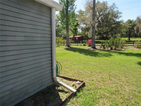 a view of a park with large trees