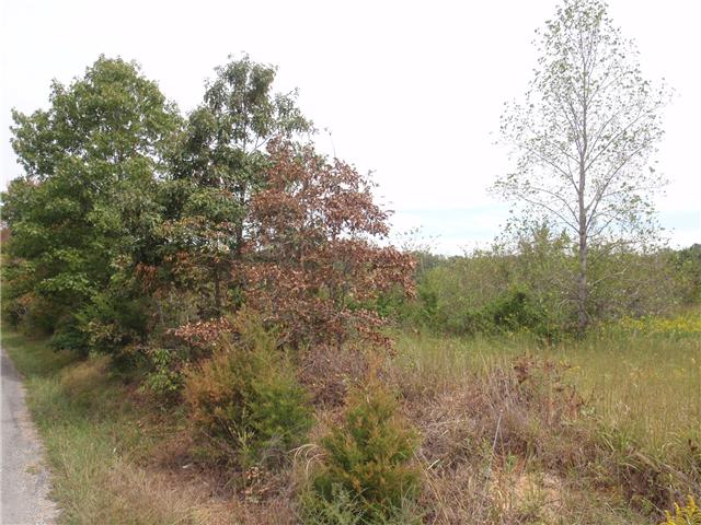 0 Missionary Ridge Road Bon Aqua, TN 37025 - Photo 2 of 14