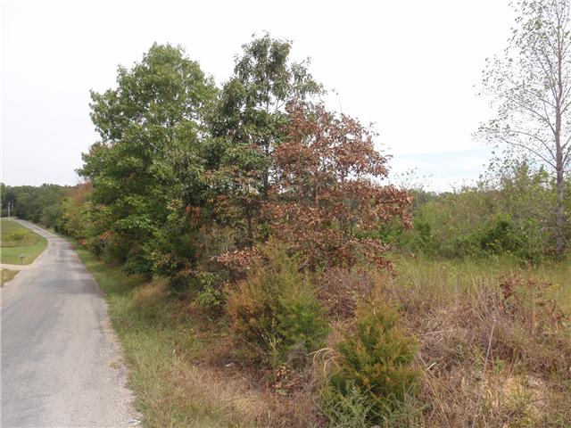0 Missionary Ridge Road Bon Aqua, TN 37025 - Photo 3 of 14