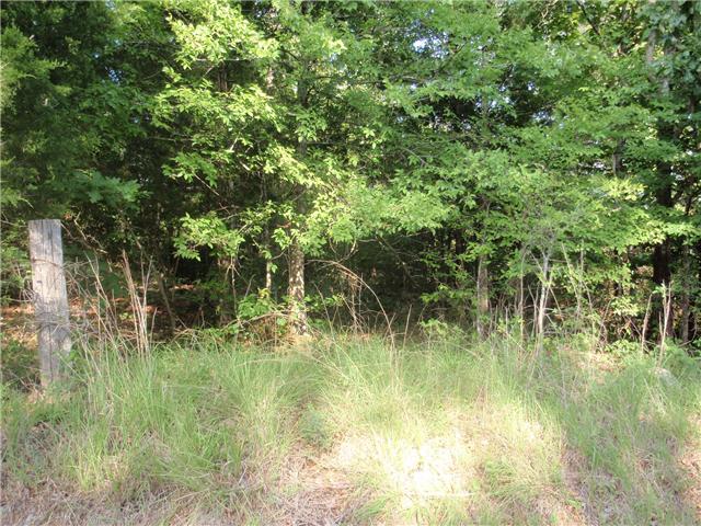 0 Missionary Ridge Road Bon Aqua, TN 37025 - Photo 4 of 14 Property line Corner on Buckner Ridge Rd