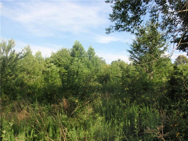 0 Missionary Ridge Road Bon Aqua, TN 37025 - Photo 8 of 14
