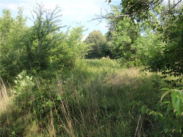 0 Missionary Ridge Road Bon Aqua, TN 37025 - Photo 9 of 14