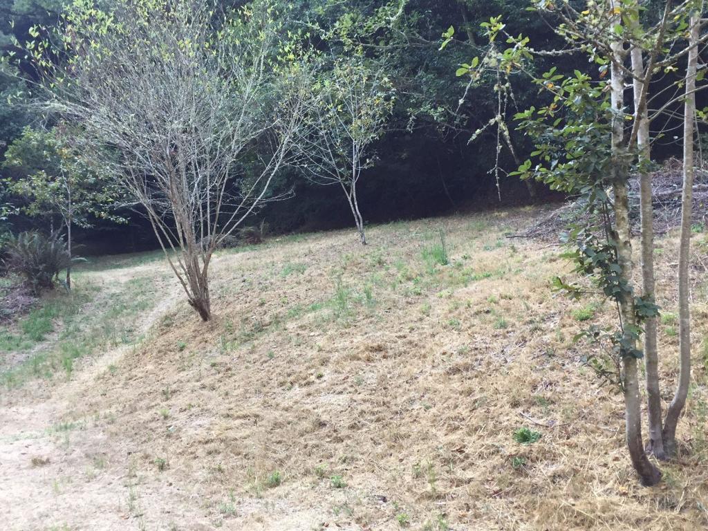 0 Puddin Lane Hydesville, CA 95547 - Photo 15 of 15
