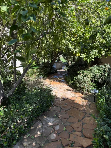 a view of outdoor space with yard and green space