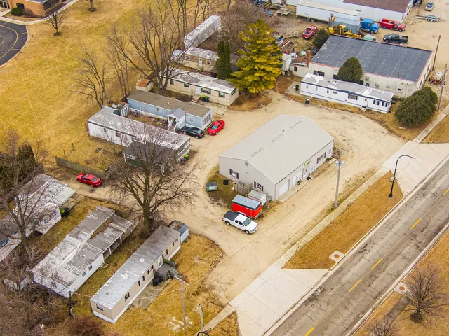 with white and black white and green trees