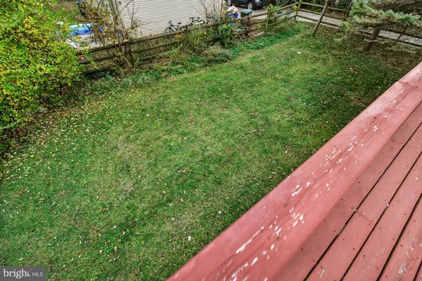 a view of a backyard with plants
