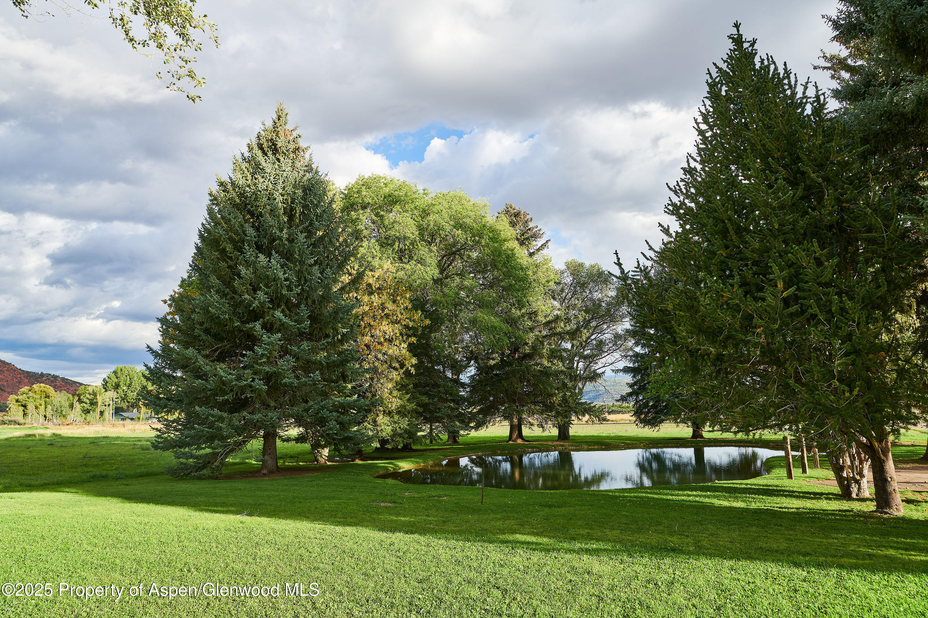 2700 Emma Road Basalt, CO 81621 - Photo 16 of 36 a garden view with trees